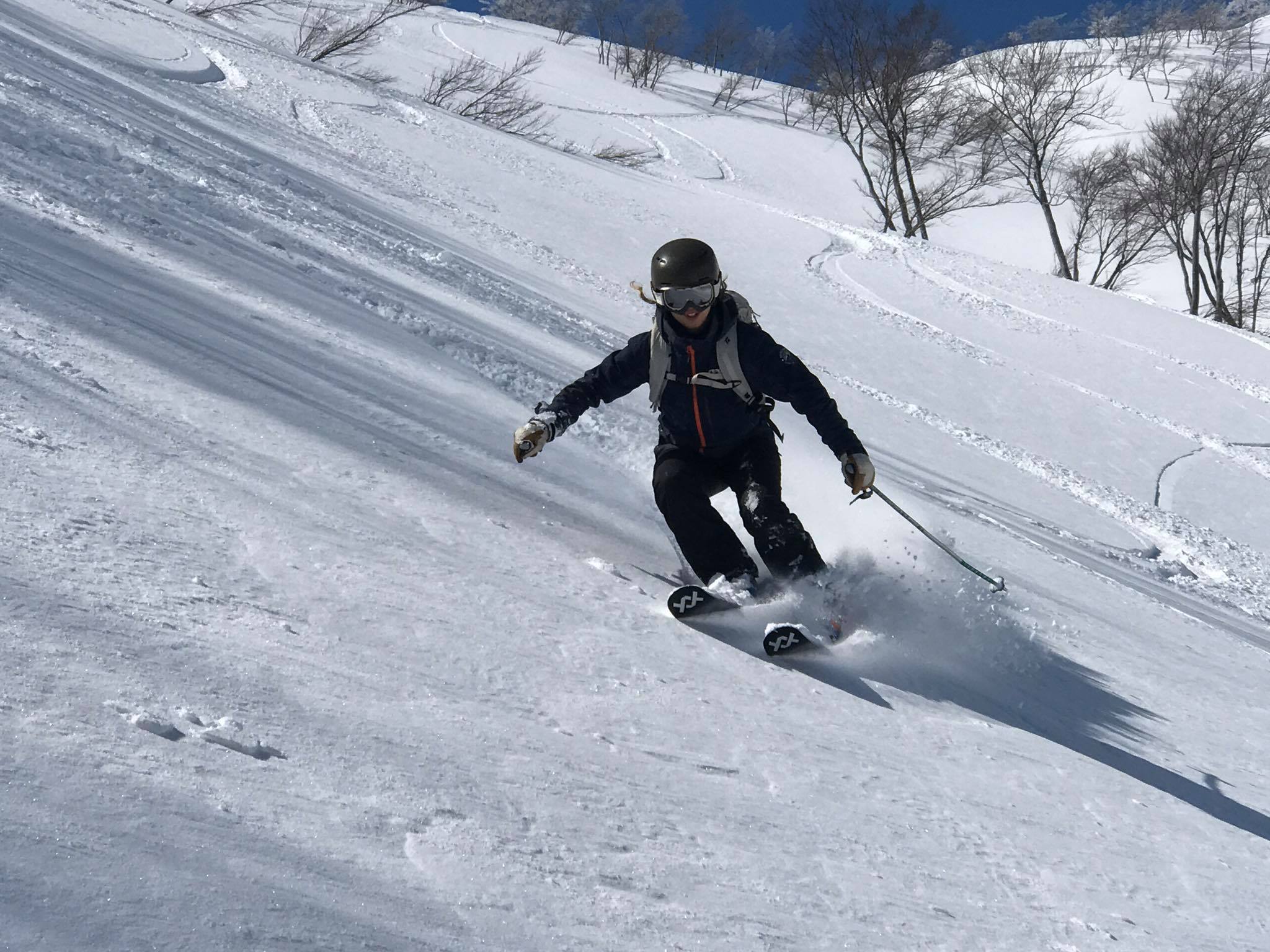 bc ski